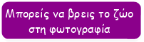 Τι είναι η ενέργεια