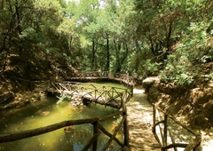 rodos_petaloudes